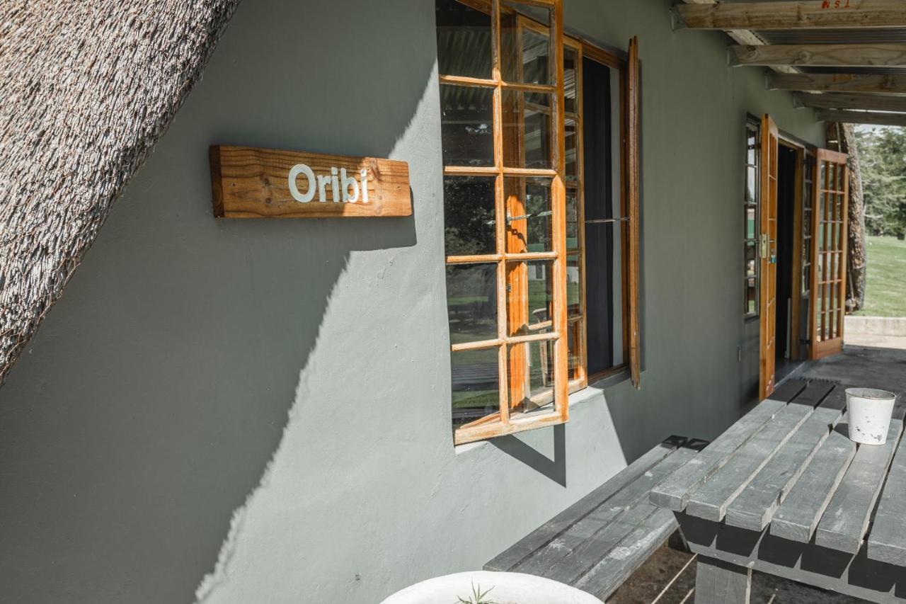 Penwarn Farm Lodge 드라켄스버그 가든 외부 사진